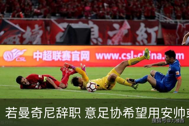 若曼奇尼辞职 意足协希望用安帅或卡纳瓦罗替代